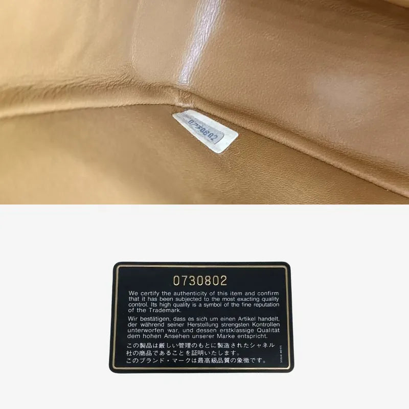 sh018-chanel-vintage-brown-ostrichskin-23cm-classic-flap-bag